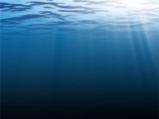 Aquatic Background